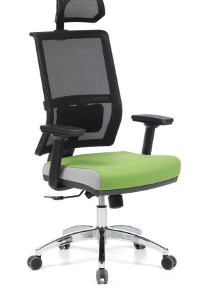 Ares Müdür Koltuğu