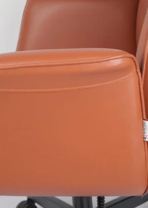 FIRST Yönetici Koltuğu