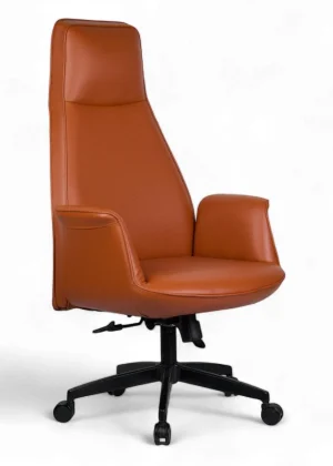 FIRST Yönetici Koltuğu