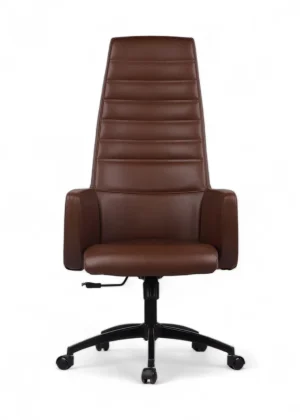 MORANİ yönetici koltuğu